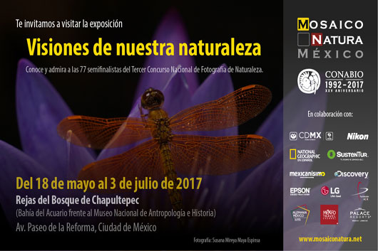 Exposición Fotográfica en las Rejas de Chapultepec de la CDMX