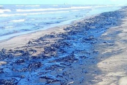 Cierran playas en Paraiso, Tabasco por derrame de combustible