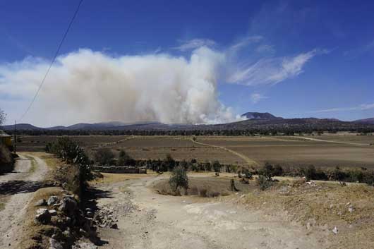 INCENDIO.CALPUS