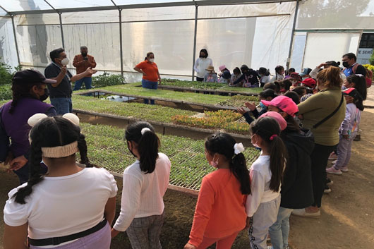 Alumnos de la primaria bilingüe “Tepeyolotzin” visitan invernadero didáctico de la SEPE-USET