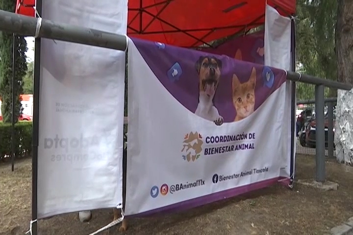 La Coordinación de Bienestar Animal está presente en la Feria Tlaxcala 2022