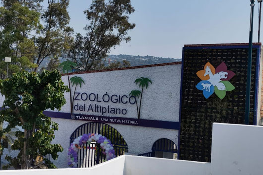 Cierra al público Zoológico del Altiplano por trabajos de remodelación