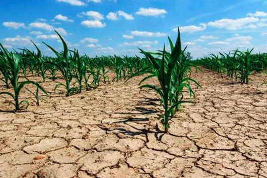 Especialistas advierten que México podría enfrentar problemas de sequía