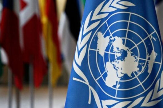 ONU pide justificar uso al veto a cinco miembros del Consejo de Seguridad