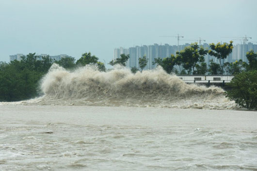 China eleva emergencia a nivel dos por tifón Muifa