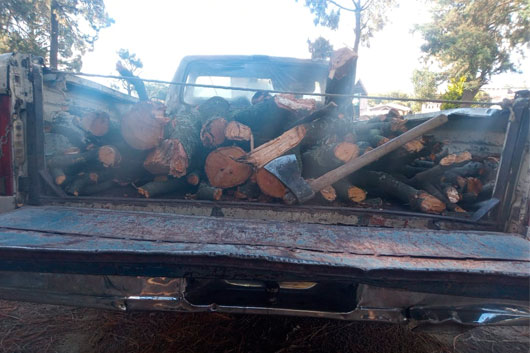 SSC aseguró camioneta con material forestal en Huamantla