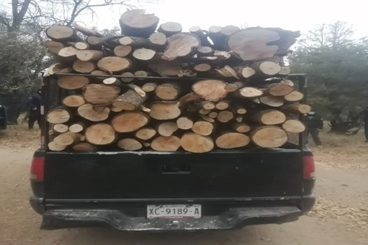 Aseguró SSC una camioneta con material forestal en la malinche