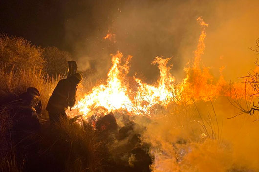 H. Cuerpo de Bomberos extingue incendio en cerro de San Nicolás