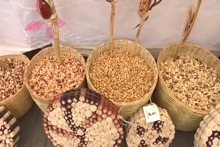 Realizan Feria de intercambio de saberes y semillas entre la Ciudad de México y Tlaxcala