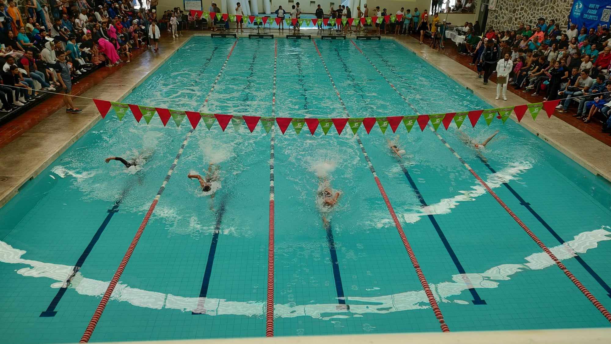 Puebla gana torneo de natación de novatos