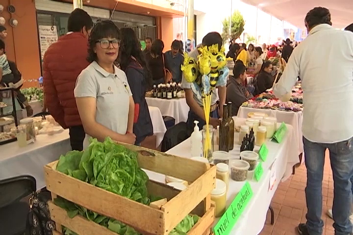 Realizan “Mercado Joven” en Calpulalpan 