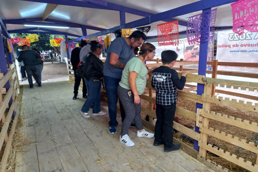 Granja interactiva de “Tlaxcala, la Feria de Ferias 2023” promueve diversión y aprendizaje