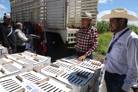 Entrega SIA 735 paquetes de especies menores a familias de Ixtacuixtla y Zacatelco