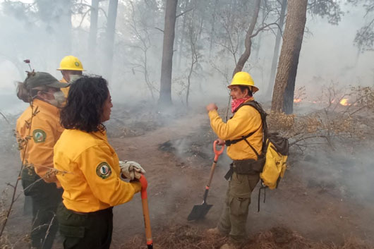 Incendio forestal en Chiautempan afectó 84 hectáreas