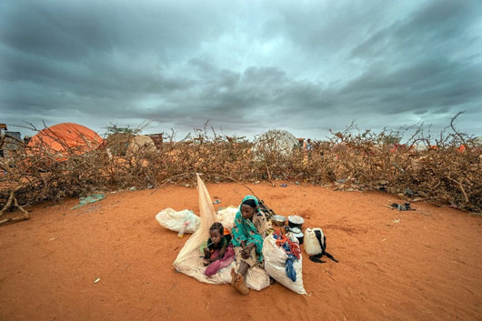 Unas 43 mil personas murieron en 2022 por la sequía en Somalia