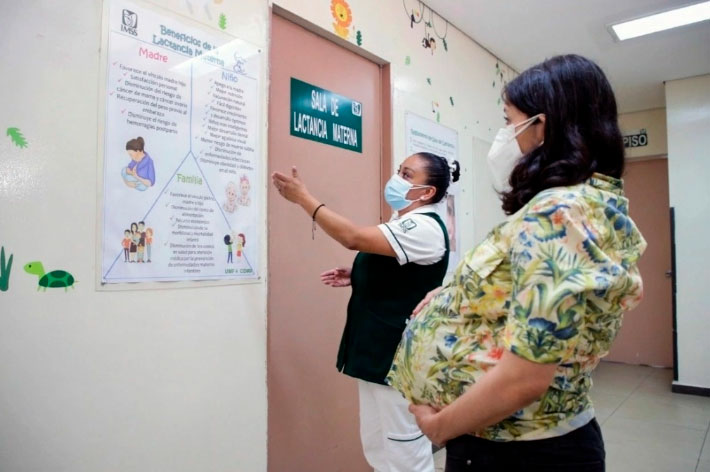 Se publica en DOF proyecto que fortalecerá la atención maternal