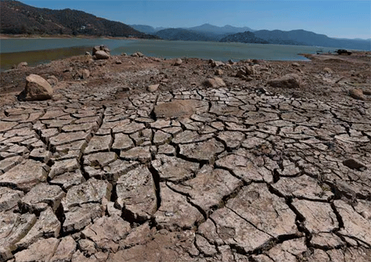 México ‘arde’: ¿Cuáles son los estados con mayor sequía en el país?
