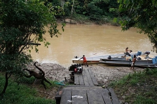 Perú crea reserva indígena en zona amazónica para pueblos en aislamiento