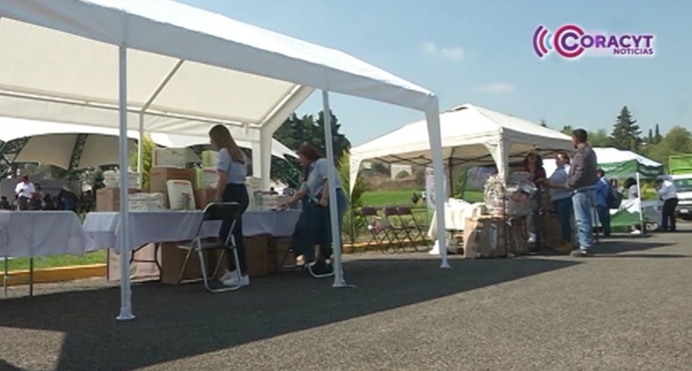 Fomentó festival 