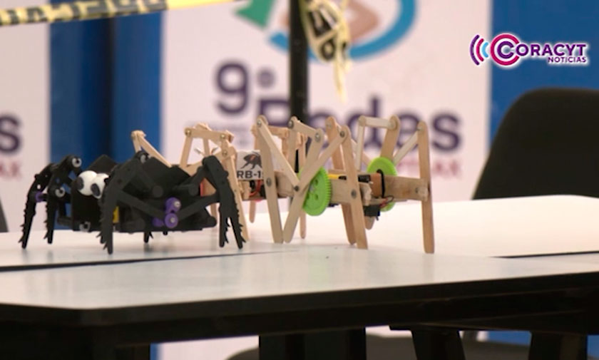 Estudiantes demostraron su talento en la “Olimpiada Latinoamericana de Ciencia y Tecnología 2025”