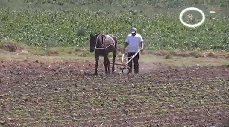 Impulsa SIA programa agrícola contra el cambio climático