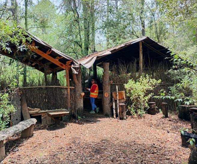 Coeprist fortalece medidas sanitarias en Nanacamilpa con capacitación a más de 270 comercios 