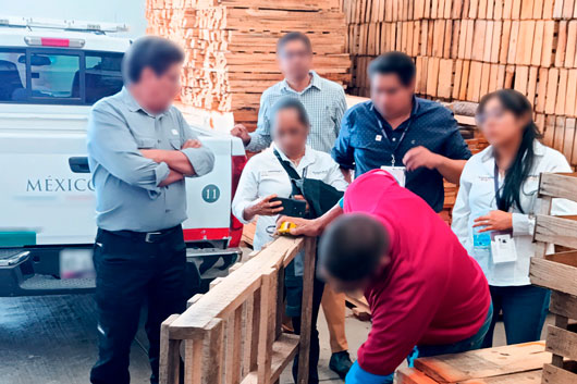 Brindaron Profepa y Semarnat capacitación para combatir la tala ilegal en Tlaxcala