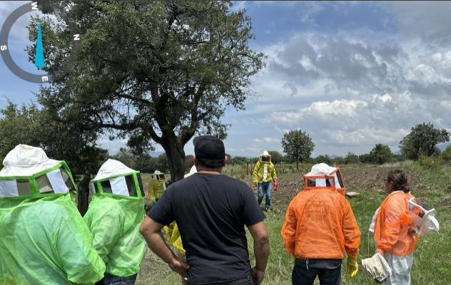 SIA fortalece condiciones de colmenas para cosecha de miel en Tlaxco