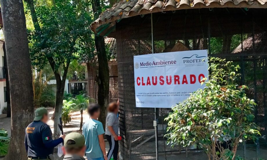 Profepa asegura 41 animales en malas condiciones en Morelos