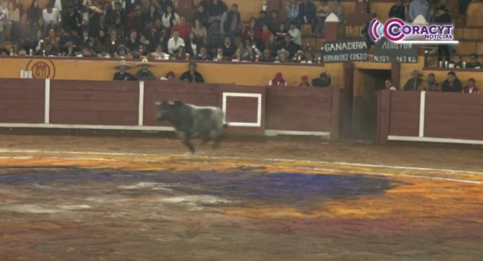 Tlaxcala será sede del “Primer Encuentro de Forcados”