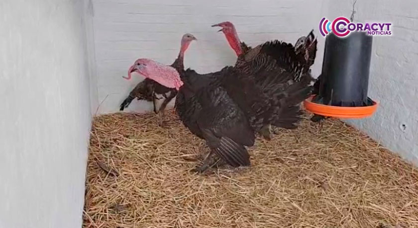 Destinará gobierno estatal 28 MDP adicionales para el sector agrícola en 2026