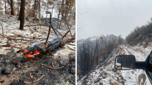 Cae nevada sobre incendio forestal en Sonora