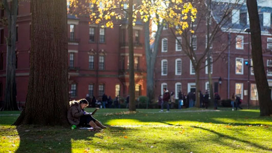 Trump evalúa quitar 3,000 millones en becas a Harvard y dárselos a escuelas de comercio