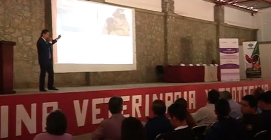 Veterinarios deben privilegiar el bienestar animal: especialistas
