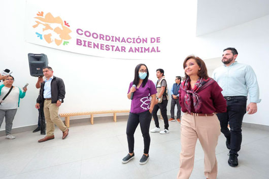 Avanza construcción de la Clínica de Bienestar Animal 
