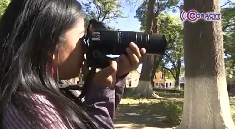 Profesionales de la lente se reunirán en el Festival Internacional de Fotografía Estenopeica 2026