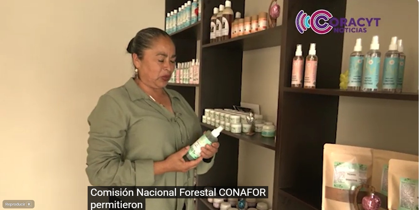Ejidatarias fortalecen proyecto de herbolaria tradicional con apoyo de Conafor