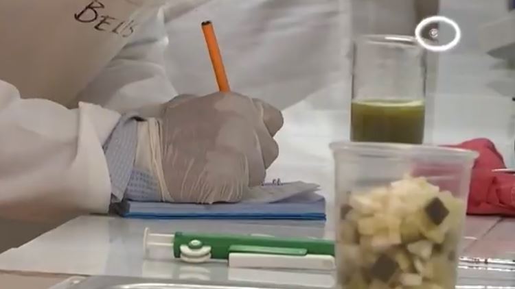Estudiantes de Biología presentarán avances de investigaciones desarrolladas en la UATx 