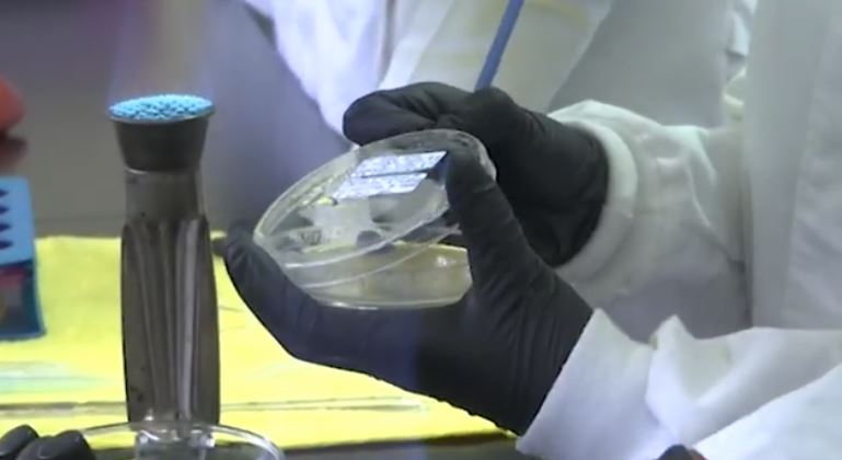 Fortalece UPTlax el desarrollo de proyectos biotecnológicos