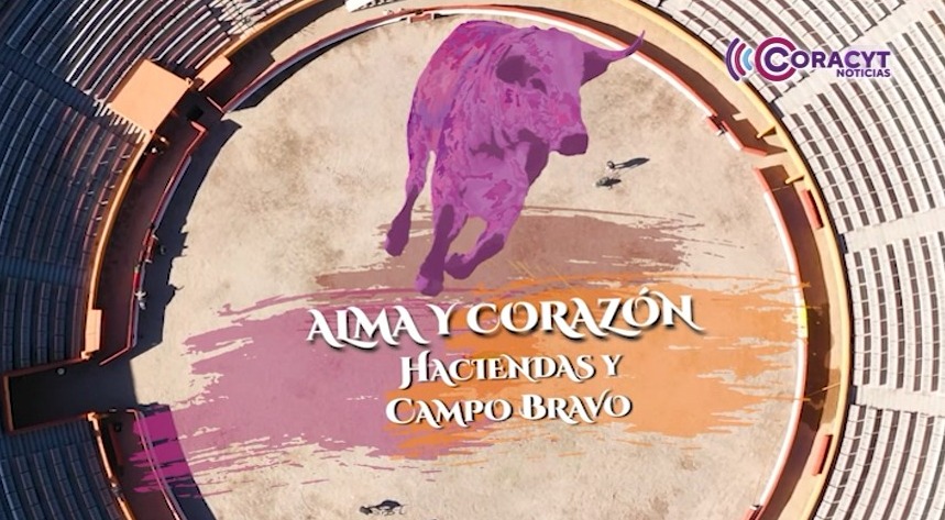 Juan Manuel Rosas creó la identidad musical de la serie “Alma y Corazón”
