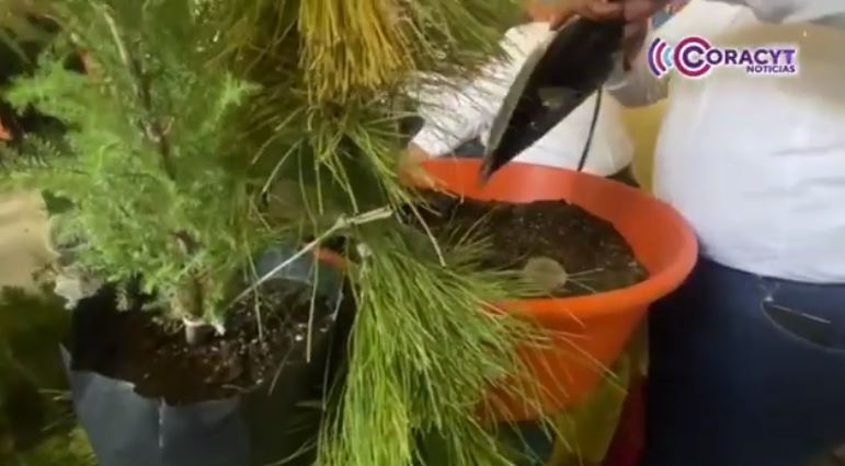 Iniciará programa “Tlaxcala Resiliente 2026” en Chiautempan