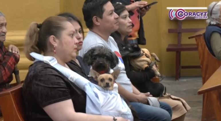 Celebran a San Antonio Abad con bendición de animales