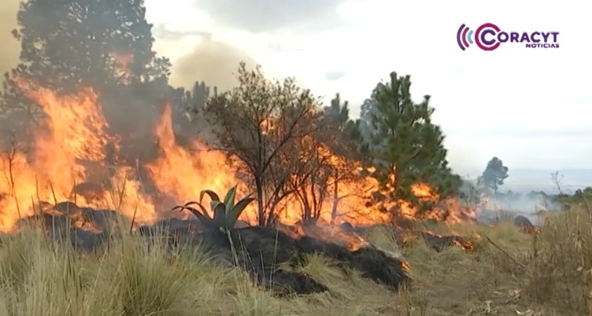 Alertó la CEPC sobre los riesgos de las quemas agrícolas