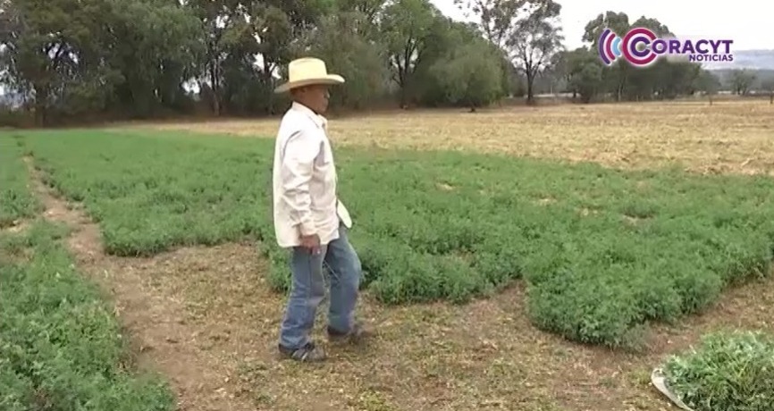 Optimizará SIA la infraestructura hídrica para el campo tlaxcalteca