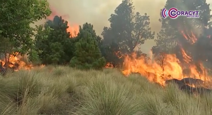 Registró la CEPC 47 incendios en lo que va de la temporada