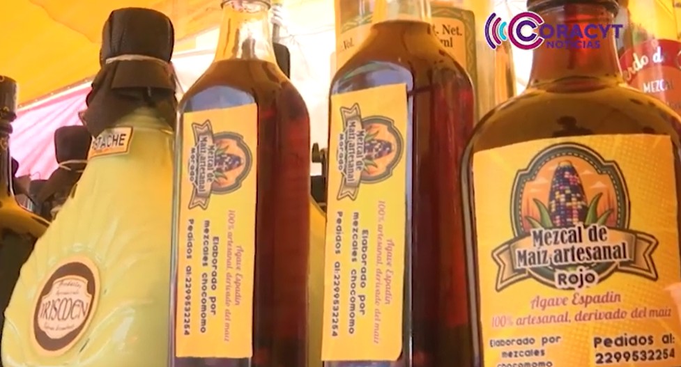 Innovan productores de Ixtenco con mezcal de maíz tradicional