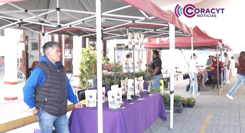 Productora tlaxcalteca elabora derivados lácteos elaborados de forma natural