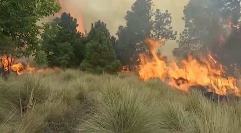 En Tlaxcala, 52 incendios forestales han afectado 387 hectáreas 