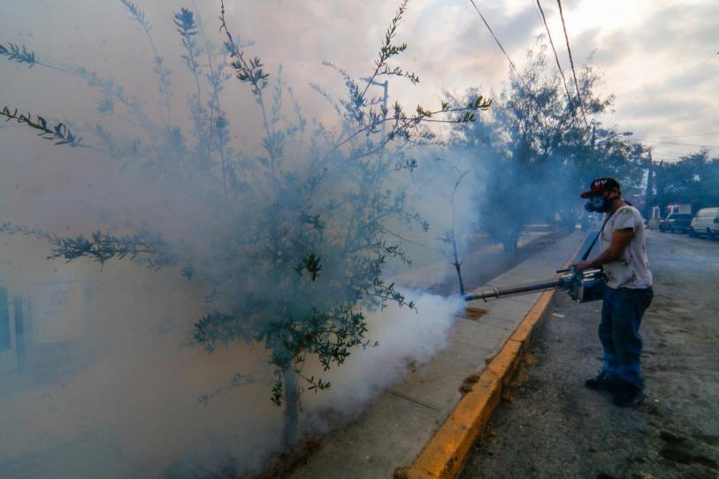 Suman 4 muertes por dengue y más de dos mil casos en 26 entidades del país