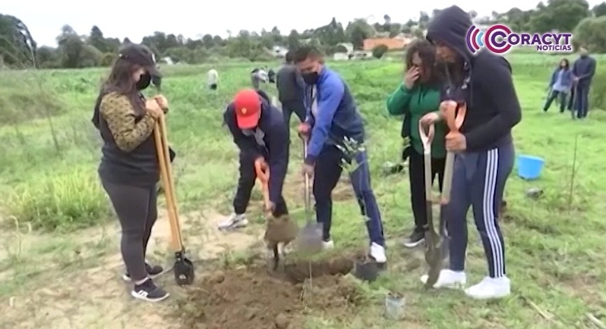 Promueven adopción de árboles para fortalecer áreas verdes en Tlaxcala